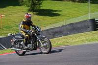 Vintage-motorcycle-club;eventdigitalimages;mallory-park;mallory-park-trackday-photographs;no-limits-trackdays;peter-wileman-photography;trackday-digital-images;trackday-photos;vmcc-festival-1000-bikes-photographs